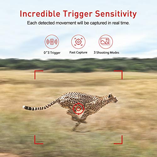 Victure Cámara de Caza Nocturna 20MP 1080P con Diseño Impermeable IP66 Cámara de Fototrampeo con Detección de Acción LED IR Sin Brillo para Seguimiento Cinegético de Fauna Victure Cámara de Caza Nocturna 20MP 1080P con Diseño Impermeable IP66 Cámara de Fototrampeo con Detección de Acción LED IR Sin Brillo para Seguimiento Cinegético de Fauna