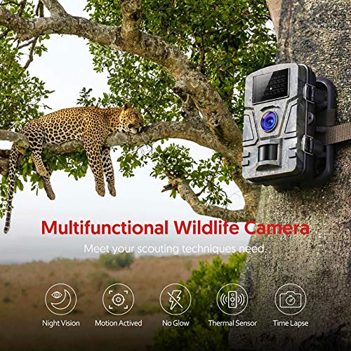 Victure Cámara de Caza Vigilancia 16MP 1080P IP66 Impermeable PIR Sensor de Movimiento Visión Nocturna 90 ° Angular para Fauna Seguridad Hogar Mascota Animal