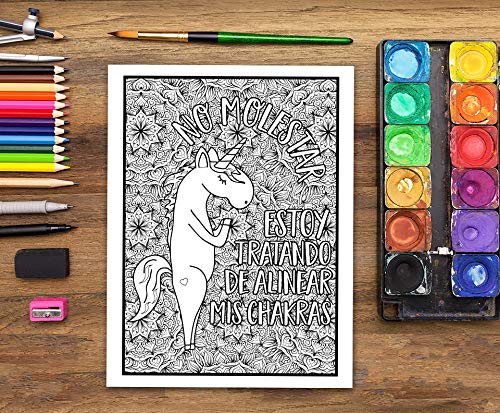 Vida de yogui: Un sarcástico libro de colorear para adultos: Un libro antiestrés divertido, original y cargado de sarcasmo para los amantes del yoga Vida de yogui: Un sarcástico libro de colorear para adultos: Un libro antiestrés divertido, original y cargado de sarcasmo para los amantes del yoga