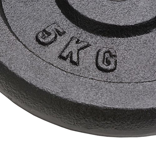 vidaXL 4X Discos de Pesas Hierro Fundido 2x10kg+2x5kg Fitness Musculación Gym vidaXL 4X Discos de Pesas Hierro Fundido 2x10kg+2x5kg Fitness Musculación Gym