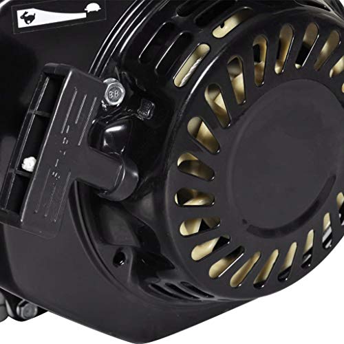 vidaXL Motor de Gasolina Negro 6,5HP 4,8kW Recambio Coche Herramienta Vehículo vidaXL Motor de Gasolina Negro 6,5HP 4,8kW Recambio Coche Herramienta Vehículo