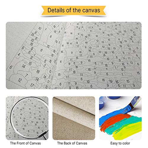 VIKMARI Kits de Pintura al óleo de Bricolaje para Adultos, Pintura por números, Kit de Pintura por números de Bailarina de Ballet para niños, Arte de Pared de 16 x 20 Pulgadas sin Marco VIKMARI Kits de Pintura al óleo de Bricolaje para Adultos, Pintura por números, Kit de Pintura por números de Bailarina de Ballet para niños, Arte de Pared de 16 x 20 Pulgadas sin Marco
