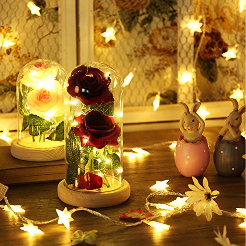 Vingtank 2 PCS seda artificial rosa con 20-LED luz de tira en una pantalla de vidrio blanco cálido Gran regalo para la esposa, novia, cumpleaños, día de la madre, aniversario de bodas, día de San Vale Vingtank 2 PCS seda artificial rosa con 20-LED luz de tira en una pantalla de vidrio blanco cálido Gran regalo para la esposa, novia, cumpleaños, día de la madre, aniversario de bodas, día de San Vale