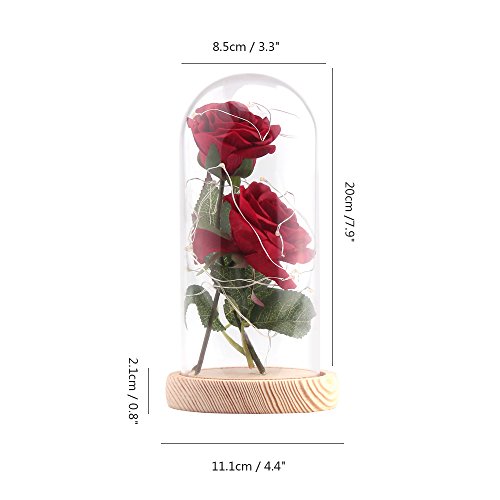 Vingtank 2 PCS seda artificial rosa con 20-LED luz de tira en una pantalla de vidrio blanco cálido Gran regalo para la esposa, novia, cumpleaños, día de la madre, aniversario de bodas, día de San Vale