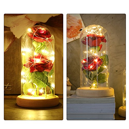 Vingtank 2 PCS seda artificial rosa con 20-LED luz de tira en una pantalla de vidrio blanco cálido Gran regalo para la esposa, novia, cumpleaños, día de la madre, aniversario de bodas, día de San Vale Vingtank 2 PCS seda artificial rosa con 20-LED luz de tira en una pantalla de vidrio blanco cálido Gran regalo para la esposa, novia, cumpleaños, día de la madre, aniversario de bodas, día de San Vale