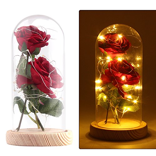 Vingtank 2 PCS seda artificial rosa con 20-LED luz de tira en una pantalla de vidrio blanco cálido Gran regalo para la esposa, novia, cumpleaños, día de la madre, aniversario de bodas, día de San Vale