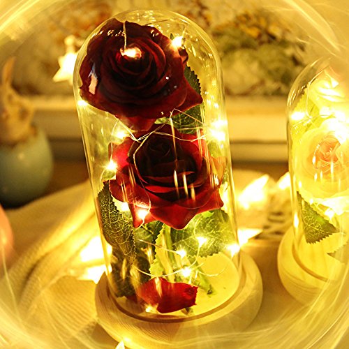 Vingtank 2 PCS seda artificial rosa con 20-LED luz de tira en una pantalla de vidrio blanco cálido Gran regalo para la esposa, novia, cumpleaños, día de la madre, aniversario de bodas, día de San Vale Vingtank 2 PCS seda artificial rosa con 20-LED luz de tira en una pantalla de vidrio blanco cálido Gran regalo para la esposa, novia, cumpleaños, día de la madre, aniversario de bodas, día de San Vale