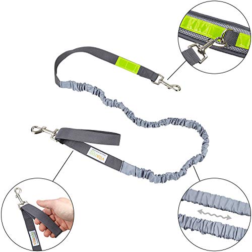 vitazoo Correa para Perros Gris con cinturón Abdominal, elástica 1,2 m - 2,0 m, con Cintas reflectoras, Ideal para Perros Grandes y medianos - Correa para Jogging, pasear Perro con Manos Libres