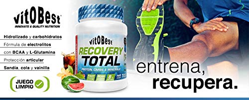 Vitobest RECOVERY TOTAL 700 g - Suplementos Alimentación y Suplementos Deportivos - Vitobest (Sandía) Vitobest RECOVERY TOTAL 700 g - Suplementos Alimentación y Suplementos Deportivos - Vitobest (Sandía)