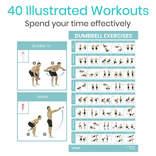 Vive Dumbbell - Póster de entrenamiento, Mancuerna Vive Dumbbell - Póster de entrenamiento, Mancuerna