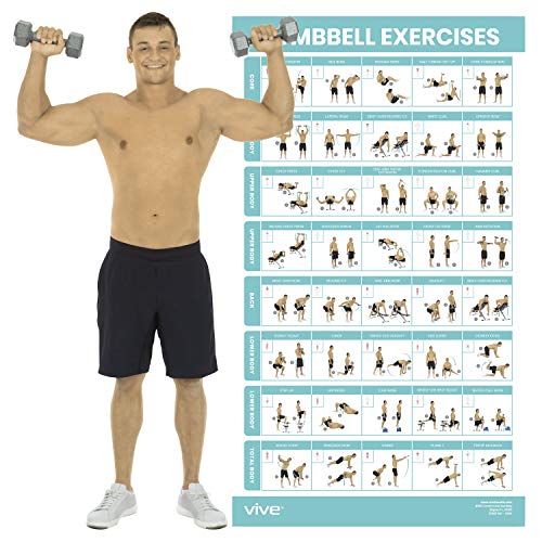 Vive Dumbbell - Póster de entrenamiento, Mancuerna