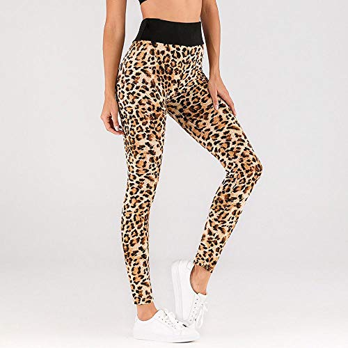 VJGOAL Pantalones de Yoga para Mujer Leggings de Fitness de Estampado de Leopardo de Moda Casual de Cintura Alta Medias elásticas Sexy Gimnasio Corriendo Pantalones Deportivos VJGOAL Pantalones de Yoga para Mujer Leggings de Fitness de Estampado de Leopardo de Moda Casual de Cintura Alta Medias elásticas Sexy Gimnasio Corriendo Pantalones Deportivos