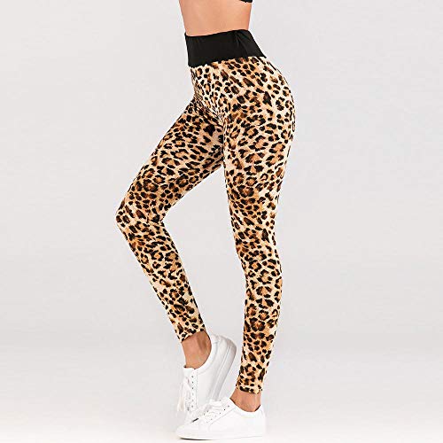 VJGOAL Pantalones de Yoga para Mujer Leggings de Fitness de Estampado de Leopardo de Moda Casual de Cintura Alta Medias elásticas Sexy Gimnasio Corriendo Pantalones Deportivos VJGOAL Pantalones de Yoga para Mujer Leggings de Fitness de Estampado de Leopardo de Moda Casual de Cintura Alta Medias elásticas Sexy Gimnasio Corriendo Pantalones Deportivos