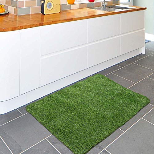 VOSAREA Cesped Artificial Felpudo Hierba Sintética Entrada Estera de Bienvenida Alfombra Césped Artificial Alfombra para Perro Jardín Terraza Balcón Suelo 40x60cm VOSAREA Cesped Artificial Felpudo Hierba Sintética Entrada Estera de Bienvenida Alfombra Césped Artificial Alfombra para Perro Jardín Terraza Balcón Suelo 40x60cm