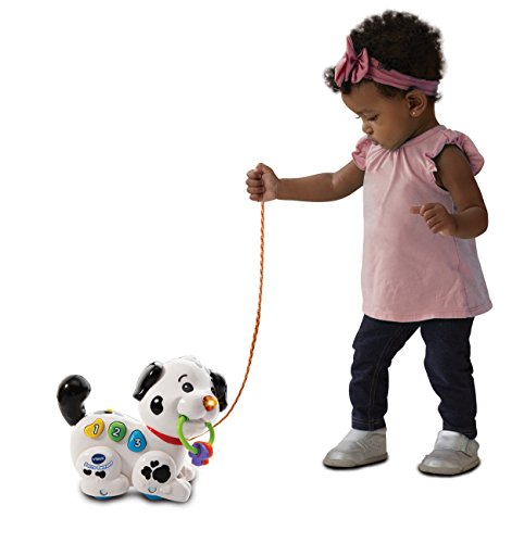 VTech Perruno, Arrastre Interactivo con Forma de Perro con Voz Frases Sonidos y Melodias, Multicolor, Talla Única (3480-502822)