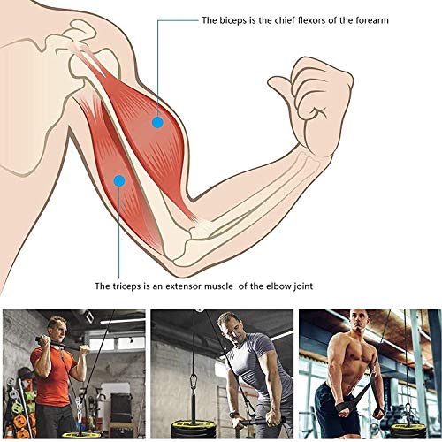 VULID Fitness Sistema de máquina de Cable de polea de Bricolaje, Brazo, antebrazo, muñeca, Hombro, Espalda, Entrenamiento de Fuerza, ejercitador para Gimnasio en casa, Fitness, Entrenamiento VULID Fitness Sistema de máquina de Cable de polea de Bricolaje, Brazo, antebrazo, muñeca, Hombro, Espalda, Entrenamiento de Fuerza, ejercitador para Gimnasio en casa, Fitness, Entrenamiento
