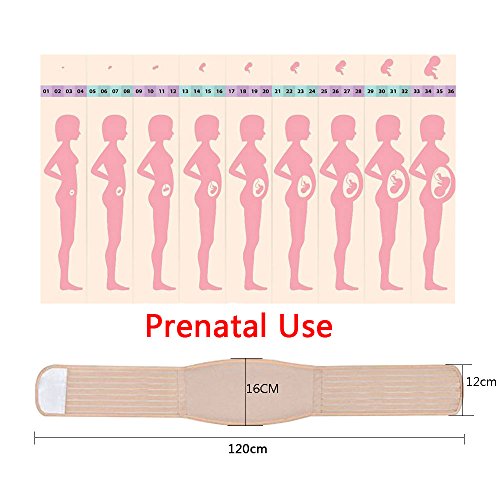 WANYI Fajas Embarazo Premamá 120CM Cinturón de Embarazo, Embarazo Cinturon Ajustable Cinturón Apoyo Abdominal Transpirable Embarazadas Mujeres para Evitar Dolor Espalda (Marrón)
