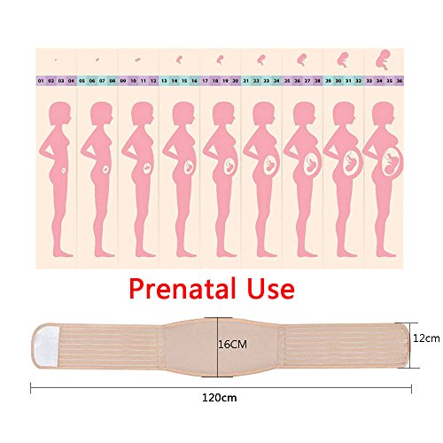 WANYI Fajas Embarazo Premamá 120CM Cinturón de Embarazo, Embarazo Cinturon Ajustable Cinturón Apoyo Abdominal Transpirable Embarazadas Mujeres para Evitar Dolor Espalda (Marrón) WANYI Fajas Embarazo Premamá 120CM Cinturón de Embarazo, Embarazo Cinturon Ajustable Cinturón Apoyo Abdominal Transpirable Embarazadas Mujeres para Evitar Dolor Espalda (Marrón)