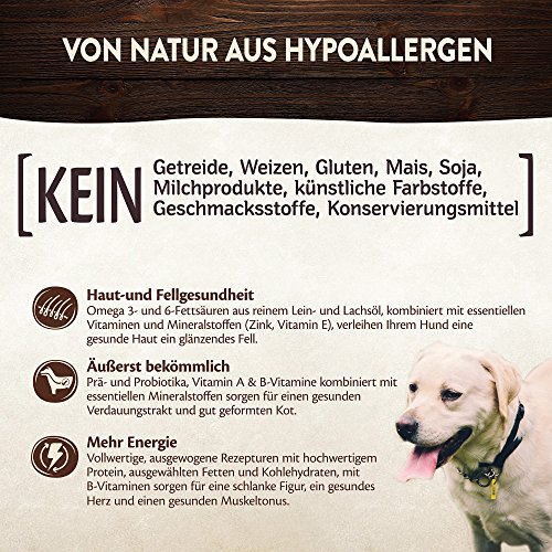 Wellness Core Perro proteína Bites Crunchy Cereales Libre Fuga erli, Pollo con Cerezas, 2 Unidades (2 x 170 g) Wellness Core Perro proteína Bites Crunchy Cereales Libre Fuga erli, Pollo con Cerezas, 2 Unidades (2 x 170 g)