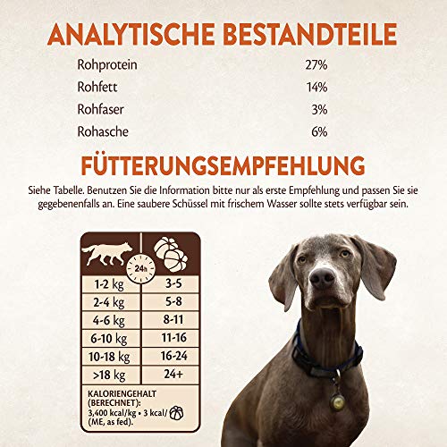Wellness Core Perro proteína Bites Crunchy Cereales Libre Fuga erli, Pollo con Cerezas, 2 Unidades (2 x 170 g) Wellness Core Perro proteína Bites Crunchy Cereales Libre Fuga erli, Pollo con Cerezas, 2 Unidades (2 x 170 g)