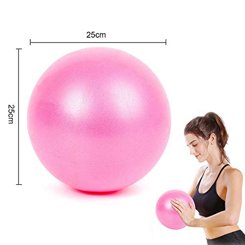 WELLXUNK® Pelota Ejercicio Pilates, Mini Pelota de Ejercicio de 25cm, Pilates Pelota Equilibrio, Deportiva Fitness Pelota de Entrenamiento Antiexplosión y Antideslizante, para Yoga, Pilates (Rosado)