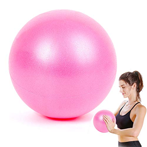 WELLXUNK® Pelota Ejercicio Pilates, Mini Pelota de Ejercicio de 25cm, Pilates Pelota Equilibrio, Deportiva Fitness Pelota de Entrenamiento Antiexplosión y Antideslizante, para Yoga, Pilates (Rosado)