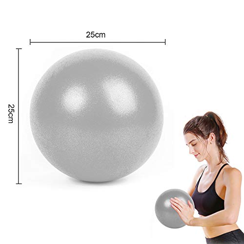 WELLXUNK®Pelota Ejercicio Pilates, Mini Pelota de Ejercicio de 25cm, Pilates Pelota Equilibrio, Deportiva Fitness Pelota de Entrenamiento Antiexplosión y Antideslizante, para Yoga (Gris-Plata)