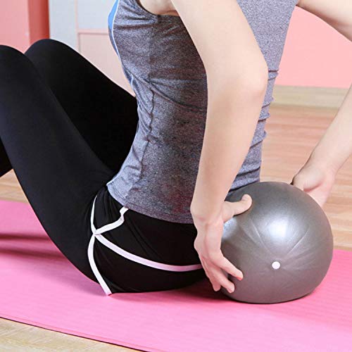 WELLXUNK®Pelota Ejercicio Pilates, Mini Pelota de Ejercicio de 25cm, Pilates Pelota Equilibrio, Deportiva Fitness Pelota de Entrenamiento Antiexplosión y Antideslizante, para Yoga (Gris-Plata)