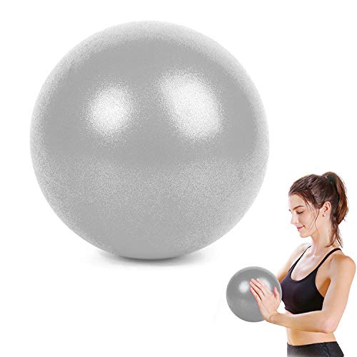 WELLXUNK®Pelota Ejercicio Pilates, Mini Pelota de Ejercicio de 25cm, Pilates Pelota Equilibrio, Deportiva Fitness Pelota de Entrenamiento Antiexplosión y Antideslizante, para Yoga (Gris-Plata)