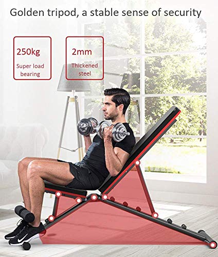 Wghz Banco Plegable Inclinado Ajustable Taburete Plegable con Mancuernas Extensión de piernas y Curl de piernas Banco para Levantamiento de Pesas Respaldo Ajustable múltiple para Principiantes y Wghz Banco Plegable Inclinado Ajustable Taburete Plegable con Mancuernas Extensión de piernas y Curl de piernas Banco para Levantamiento de Pesas Respaldo Ajustable múltiple para Principiantes y