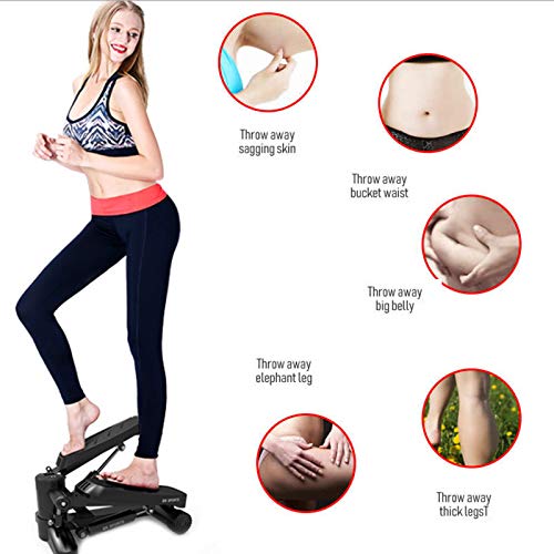 WHY Twister Stepper, Swing Stepper con Pantalla Multifuncional Y Cuerdas De Resistencia Step Cardio Fitness Maquina De Subir Escaleras Casa Carga -150KG WHY Twister Stepper, Swing Stepper con Pantalla Multifuncional Y Cuerdas De Resistencia Step Cardio Fitness Maquina De Subir Escaleras Casa Carga -150KG
