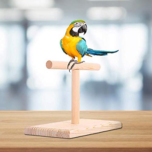 Wilk Perchas de Madera Loro masticación Apoyo Titular de pájaro de Juguete Aves pican Juguetes para Mascotas Juguete para Jugar Trampolín Wilk Perchas de Madera Loro masticación Apoyo Titular de pájaro de Juguete Aves pican Juguetes para Mascotas Juguete para Jugar Trampolín