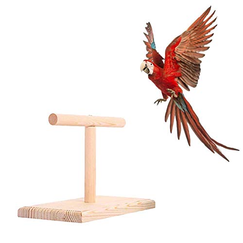 Wilk Perchas de Madera Loro masticación Apoyo Titular de pájaro de Juguete Aves pican Juguetes para Mascotas Juguete para Jugar Trampolín Wilk Perchas de Madera Loro masticación Apoyo Titular de pájaro de Juguete Aves pican Juguetes para Mascotas Juguete para Jugar Trampolín