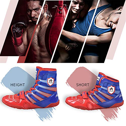 Willsky Botas De Boxeo, Zapatos De Entrenamiento De Lucha Combate Unisex Adultos Profesión Juvenil De Artes Marciales Calzado Ligero Y Transpirable,Hightop,43 Willsky Botas De Boxeo, Zapatos De Entrenamiento De Lucha Combate Unisex Adultos Profesión Juvenil De Artes Marciales Calzado Ligero Y Transpirable,Hightop,43