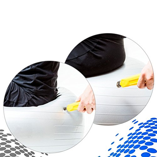 WINOMO Ejercicio Ball Anti Burst Tested 65cm Balance Stability Yoga Ball para Fitness WINOMO Ejercicio Ball Anti Burst Tested 65cm Balance Stability Yoga Ball para Fitness