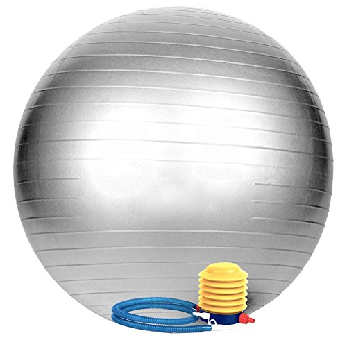 WINOMO Ejercicio Ball Anti Burst Tested 65cm Balance Stability Yoga Ball para Fitness