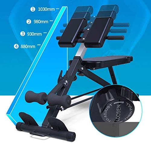 WJHCDDA Barras de dominadas Banco de Peso Dumbell Entrenamiento ABS Barra de Pierna Romana Silla Fitness Equipo de Aptitud Sitados Home Dumbbell Banco