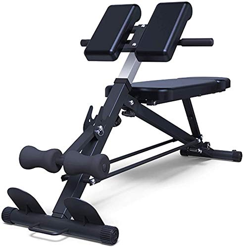 WJHCDDA Barras de dominadas Banco de Peso Dumbell Entrenamiento ABS Barra de Pierna Romana Silla Fitness Equipo de Aptitud Sitados Home Dumbbell Banco