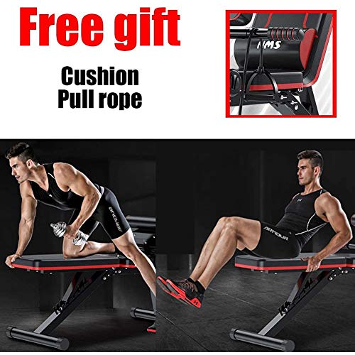 WOERD Banco de Pesas Plegable - Banco de Musculacion Multifunción para Entrenamiento de Cuerpo Entero, Sistema para Entrenar los Abdominales, Banco de Pesas Regulable WOERD Banco de Pesas Plegable - Banco de Musculacion Multifunción para Entrenamiento de Cuerpo Entero, Sistema para Entrenar los Abdominales, Banco de Pesas Regulable