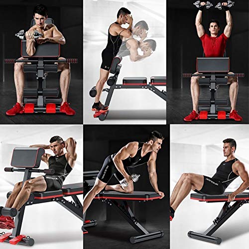 WOERD Banco de Pesas Plegable - Banco de Musculacion Multifunción para Entrenamiento de Cuerpo Entero, Sistema para Entrenar los Abdominales, Banco de Pesas Regulable WOERD Banco de Pesas Plegable - Banco de Musculacion Multifunción para Entrenamiento de Cuerpo Entero, Sistema para Entrenar los Abdominales, Banco de Pesas Regulable