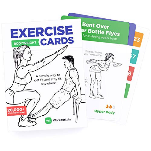 WorkoutLabs Tarjetas con ejercicios para entrenar sin implementos-Tarjetas de deporte en casa para ponerse en forma - Mazo de cartas de ejercicios-Para mujeres y hombres, 60 ejercicios y 12 rutinas