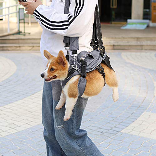 WT-DDJJK Black Friday Sales 2020, Mochila, 3 en 1 Mochila Multifuncional para Transporte de Mascotas Mochila con Patas Delanteras hacia afuera Porta Perros WT-DDJJK Black Friday Sales 2020, Mochila, 3 en 1 Mochila Multifuncional para Transporte de Mascotas Mochila con Patas Delanteras hacia afuera Porta Perros
