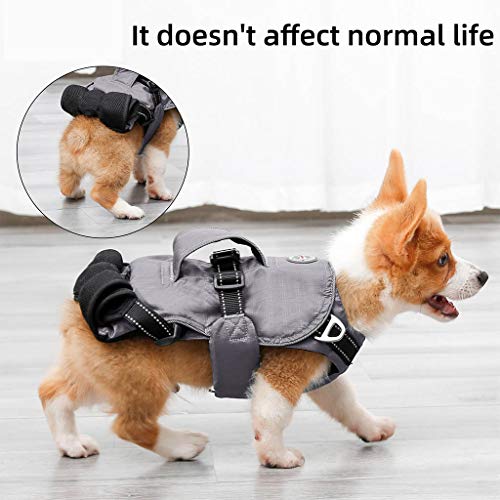 WT-DDJJK Black Friday Sales 2020, Mochila, 3 en 1 Mochila Multifuncional para Transporte de Mascotas Mochila con Patas Delanteras hacia afuera Porta Perros WT-DDJJK Black Friday Sales 2020, Mochila, 3 en 1 Mochila Multifuncional para Transporte de Mascotas Mochila con Patas Delanteras hacia afuera Porta Perros