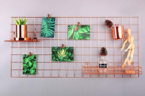 WUZILIN - Estante de Rejilla de Pared para Manualidades, de Hierro, para Colgar Fotos en el tablón de Notas, en la Familia, Cocina, Oficina, etc. (40 x 80 cm) WUZILIN - Estante de Rejilla de Pared para Manualidades, de Hierro, para Colgar Fotos en el tablón de Notas, en la Familia, Cocina, Oficina, etc. (40 x 80 cm)
