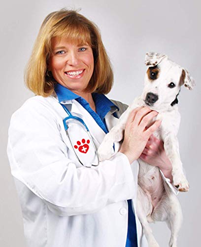 WXFEXIA - Patín trasero derecho para la articulación de la pierna - Envoltura canina protege las heridas curan el apoyo debido a la artritis para prevenir lesiones y esguinces o caminar (1 unidad) (S)