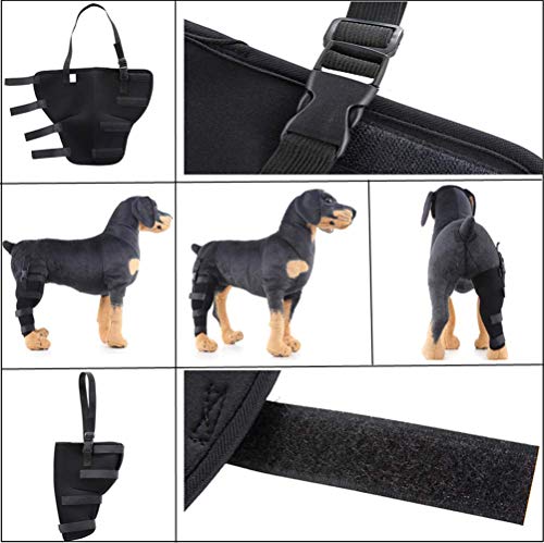 WXFEXIA - Patín trasero derecho para la articulación de la pierna - Envoltura canina protege las heridas curan el apoyo debido a la artritis para prevenir lesiones y esguinces o caminar (1 unidad) (S) WXFEXIA - Patín trasero derecho para la articulación de la pierna - Envoltura canina protege las heridas curan el apoyo debido a la artritis para prevenir lesiones y esguinces o caminar (1 unidad) (S)