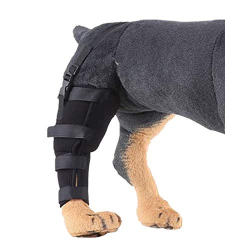 WXFEXIA - Patín trasero derecho para la articulación de la pierna - Envoltura canina protege las heridas curan el apoyo debido a la artritis para prevenir lesiones y esguinces o caminar (1 unidad) (S)