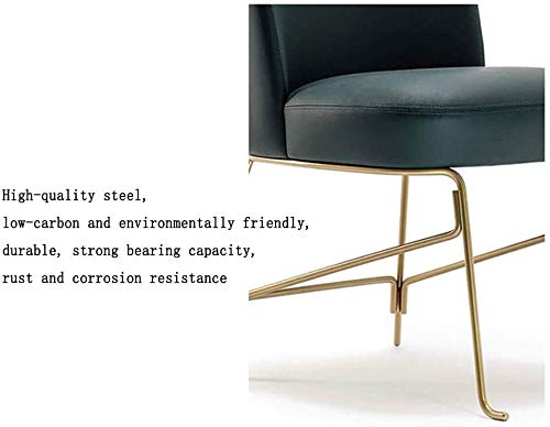 WYL Escarabajo de la Familia de Silla Silla tapizada Cúpula Simple Home PU Silla de Comedor Silla Creativa Nordic Light (Color : Default) WYL Escarabajo de la Familia de Silla Silla tapizada Cúpula Simple Home PU Silla de Comedor Silla Creativa Nordic Light (Color : Default)