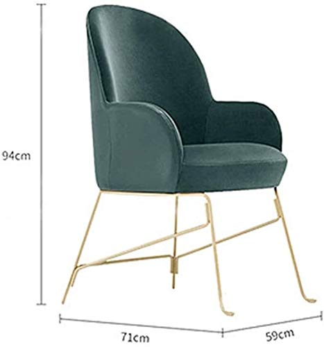 WYL Escarabajo de la Familia de Silla Silla tapizada Cúpula Simple Home PU Silla de Comedor Silla Creativa Nordic Light (Color : Default) WYL Escarabajo de la Familia de Silla Silla tapizada Cúpula Simple Home PU Silla de Comedor Silla Creativa Nordic Light (Color : Default)