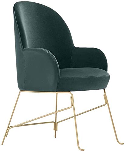 WYL Escarabajo de la Familia de Silla Silla tapizada Cúpula Simple Home PU Silla de Comedor Silla Creativa Nordic Light (Color : Default) WYL Escarabajo de la Familia de Silla Silla tapizada Cúpula Simple Home PU Silla de Comedor Silla Creativa Nordic Light (Color : Default)